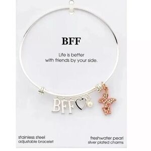 Best Friends  Zirconia Butterfly Adjustable Bangle Stainless Steel Bracelet